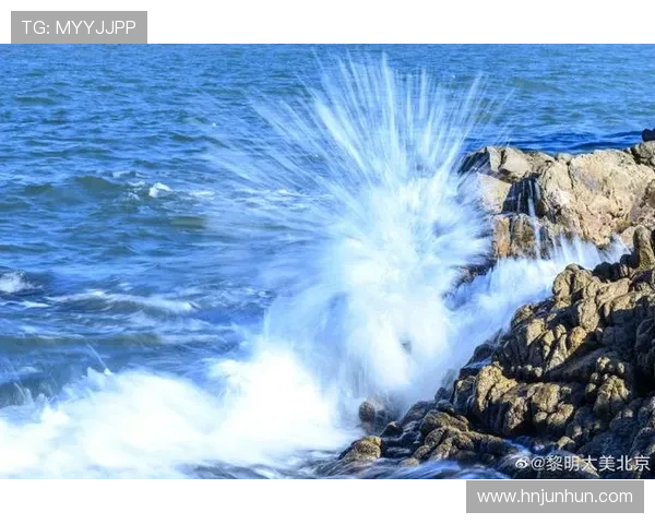 乘风破浪,情定今生:追寻《浪花一朵朵》的甜蜜踪迹,免费高清畅享浪漫盛宴 乘风破浪,情定今生:追寻《浪花一朵朵》的甜蜜踪迹,免费高清畅享浪漫盛宴