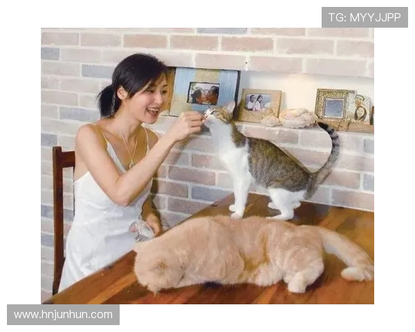 万绮雯：穿越时光的美丽印记，她的荧屏世界依旧闪耀